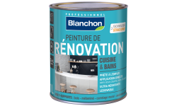 PEINTURE DE RÉNOVATION CUISINE & SALLE DE BAINS