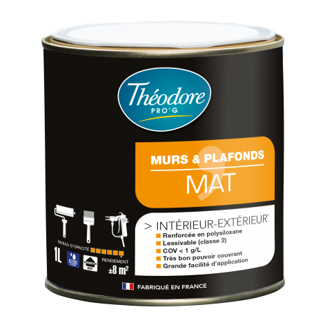 MURS & PLAFONDS MAT