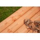 TERRASSE CURVE HEARTWOOD