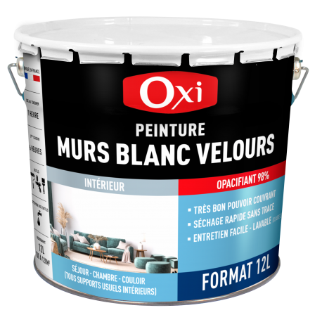 MURS INTERIEURS VELOURS BLANC (12L)