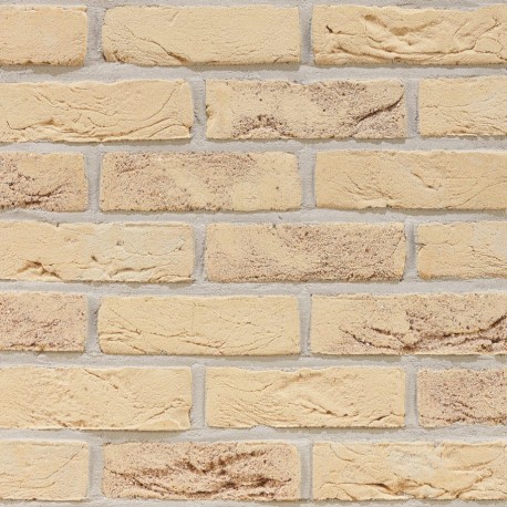 Brique ECO-BRICK Pleine Forum nuancée