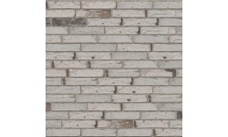 Brique ECO-BRICK Pleine Linaqua