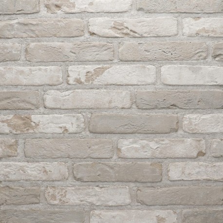 Brique ECO-BRICK Pleine Rustica