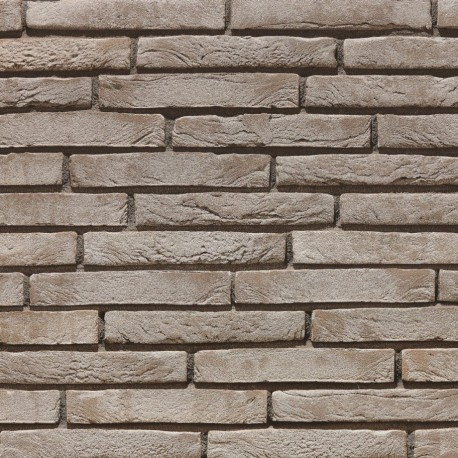 Brique ECO-BRICK Pleine Tolus