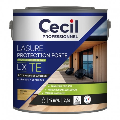 LASURE PROTECTION FORTE - LX TE 2.5L